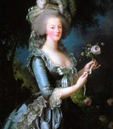 Full-day private tour of Versailles Palace from Paris with expert guide exploring royal apartments and gardens.