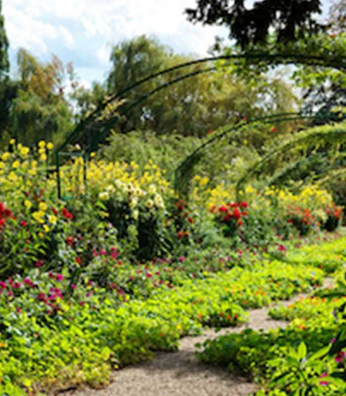 Exclusive private excursion from Paris to discover Versailles’ opulent halls and the serene gardens of Giverny.
