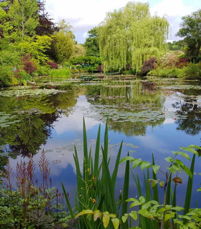 Tranquil view of the pond and green Japanese Bridge at Monet’s Giverny garden, France, on a private guided visit.
