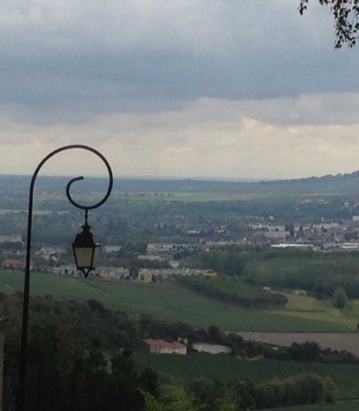Vineyard walk during a private Champagne tasting tour from Paris