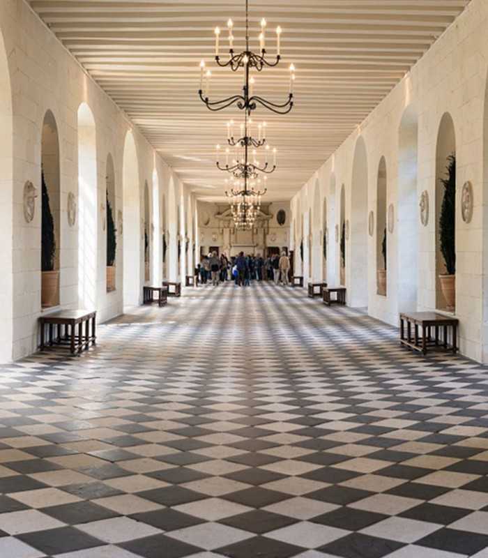 Loire Castles Private Day Tour