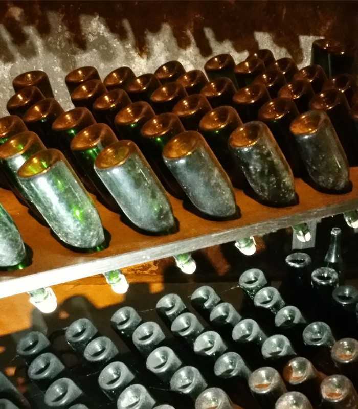 Champagne bottle aging racks on a private Champagne tour from Paris
