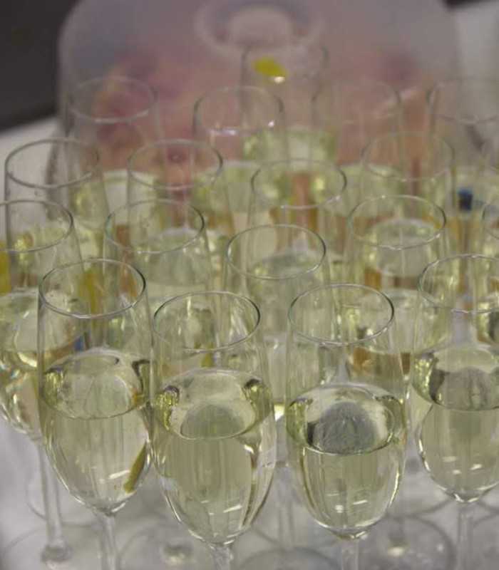 Small boutique house tasting on a private Champagne tour from Paris