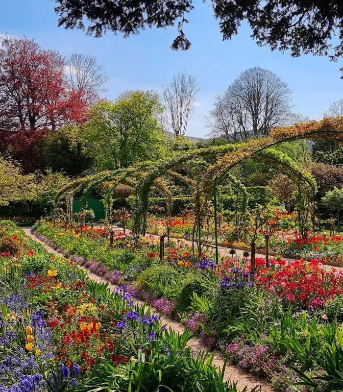 Arches covered with blooming rose trees in Monet’s Giverny garden, France, during a private guided visit