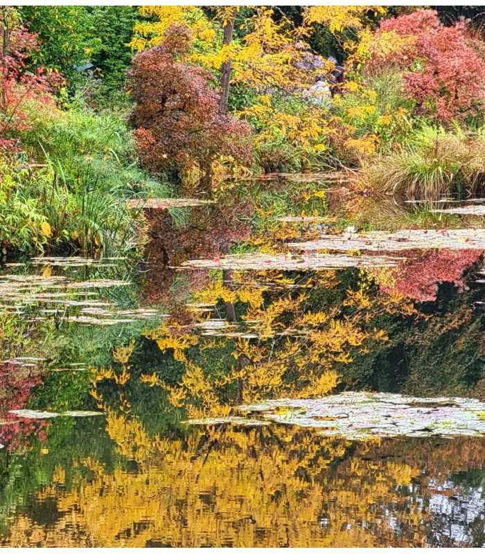 Visitors taking a private guided trip to Giverny and Rouen, discovering Impressionist heritage and medieval history in the fall