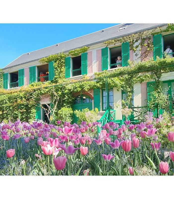 Full-day private tour from Paris exploring Monet’s gardens in Giverny and the historic harbor of Honfleur